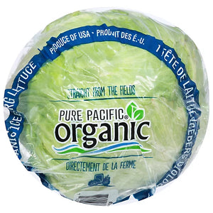 Organic Iceberg Lettuce