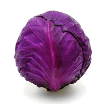 Cabbage (Red)