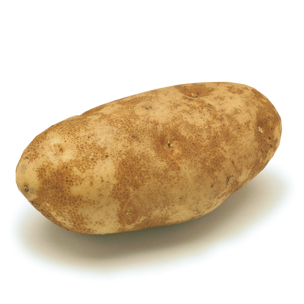 Russet Potato